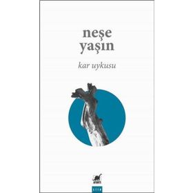 Ayrıntı Yayınları Kar Uykusu