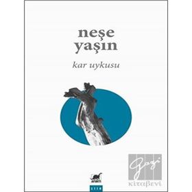 Ayrıntı Yayınları Kar Uykusu