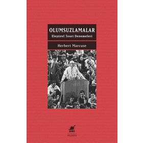 Ayrıntı Yayınları Olumsuzlamalar Eleştirel Teori Denemeleri