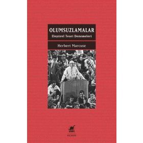 Ayrıntı Yayınları Olumsuzlamalar Eleştirel Teori Denemeleri