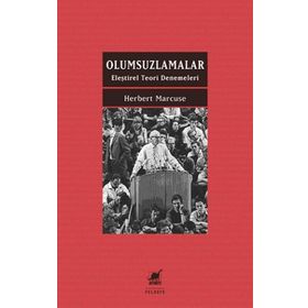 Ayrıntı Yayınları Olumsuzlamalar Eleştirel Teori Denemeleri