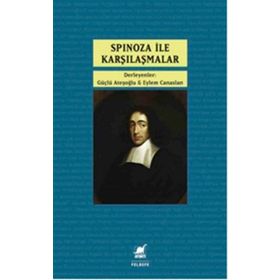 Ayrıntı Yayınları Spinoza İle Karşılaşmalar
