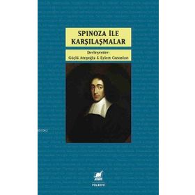 Ayrıntı Yayınları Spinoza İle Karşılaşmalar