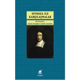 Ayrıntı Yayınları Spinoza İle Karşılaşmalar