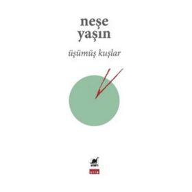Ayrıntı Yayınları Üşümüş Kuşlar