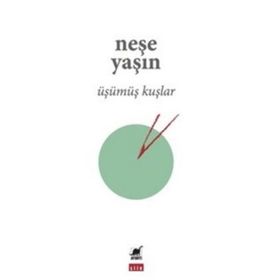 Ayrıntı Yayınları Üşümüş Kuşlar