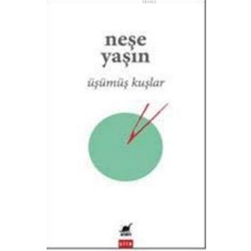 Ayrıntı Yayınları Üşümüş Kuşlar