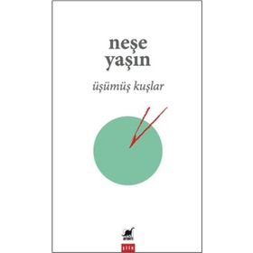 Ayrıntı Yayınları Üşümüş Kuşlar