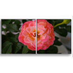 Ayşemce 1064 Runner (Karanfil Çiçek Desen Dijital Baskı)