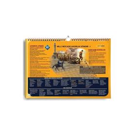 AYT Tarih Poster Notlar Kr Akademi Yayınları