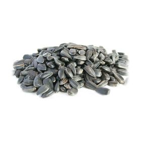 Ayvalık Baharat 1 kg Papağan Çekirdek Yemi