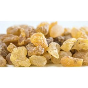 Ayvalık Baharat 100 gr Günlük Sakızı