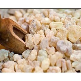 Ayvalık Baharat 200 gr Sandaloz Sakızı