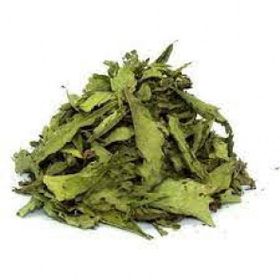 Ayvalık Baharat 50 gr Stevia Yaprağı Kurutulmuş