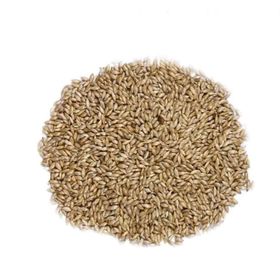 Ayvalık Baharat 500 gr Sade Kanarya Yemi