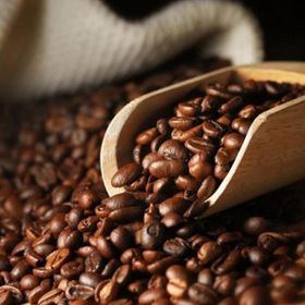 Ayvalık Baharat Çekirdek 250 gr Türk Kahvesi