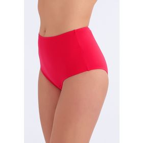 Ayyıldız 63048 Kadın Bikini Altı