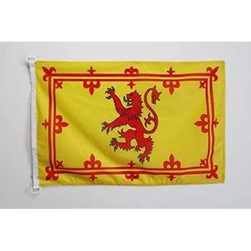 AZ FLAG 30x45 cm İskoçya Bayrağı
