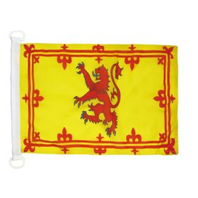 AZ FLAG 30x45 cm İskoçya Bayrağı