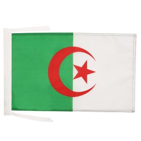AZ FLAG 45x30 cm Cezayir Bayrağı