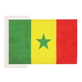 AZ FLAG 45x30 cm Senegal Bayrağı