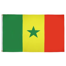 AZ FLAG 90x60 cm Senegal Bayrağı
