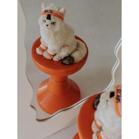 B.T. Chaps Bon Ton 32179001 32 cm Ragdoll Kedi Peluş Oyuncak