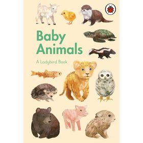 Baby Animals A Book-Ladybird Publishing