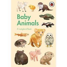 Baby Animals A Book-Ladybird Publishing