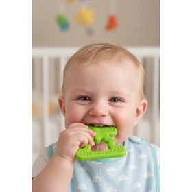 Babyjem Fil Açık Yeşil Diş Kaşıyıcı