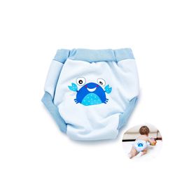 Babyjem Soft Mavi 2 Yaş Alıştırma Külodu