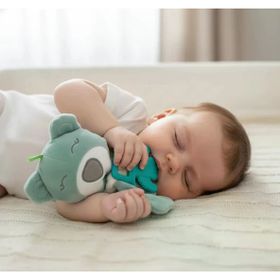 Babyjem Yeşil Diş Kaşıyıcılı Uyku Arkadaşım Ayıcık