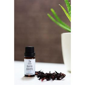 Bade Natural 10 ml Ökaliptus Uçucu Yağı