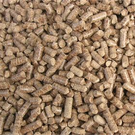 Badem Akvaryum 1 kg Çam Pelet Doğal Kedi Kumu