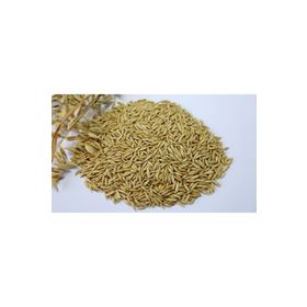 Badem Akvaryum 1 kg Yulaf Tohumu Kuş Yemi