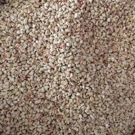 Badem Akvaryum 5 kg Mısır Koçan Granülü Kuş Kafes Altlığı