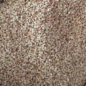 Badem Akvaryum 5 kg Mısır Koçan Granülü Kuş Kafes Altlığı