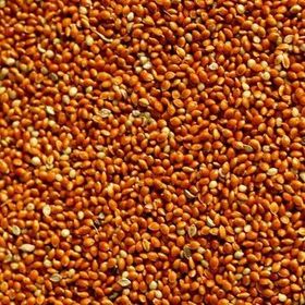 Badem Akvaryum 500 gr Dökme Kızıl Darı Kuş Yemi