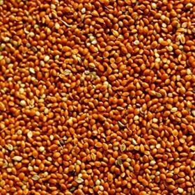 Badem Akvaryum 500 gr Dökme Kızıl Darı Kuş Yemi