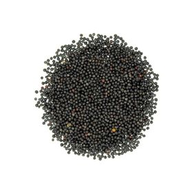 Badem Akvaryum 500 gr Rapiska Kanola Şalgam Tohumu