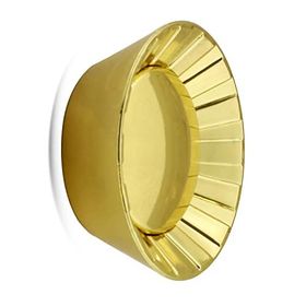 Badem10 Alita Düğme Plastik Gold Altın Tek Vidalı Kulp