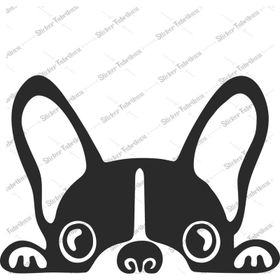 Bagajdan Bakan Köpek Oto Sticker