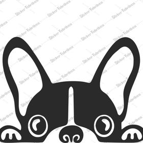 Bagajdan Bakan Köpek Oto Sticker