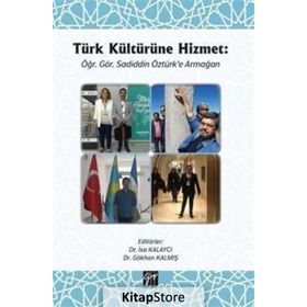 BAĞIMSIZ DENETIM VE VERGI DENETIMI DIŞINDAKİ GÜVENCE HIZMETLERI TÜRKİYE'DEKİ UYGULAMALAR HAKKINDA BIR ARAŞTIRMA - NERGIS NALAN ALTINTAŞ