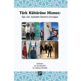 BAĞIMSIZ DENETIM VE VERGI DENETIMI DIŞINDAKİ GÜVENCE HIZMETLERI TÜRKİYE'DEKİ UYGULAMALAR HAKKINDA BIR ARAŞTIRMA - NERGIS NALAN ALTINTAŞ