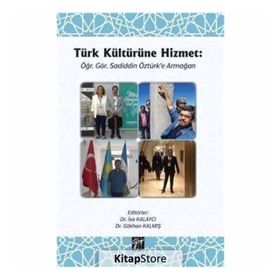 BAĞIMSIZ DENETIM VE VERGI DENETIMI DIŞINDAKİ GÜVENCE HIZMETLERI TÜRKİYE'DEKİ UYGULAMALAR HAKKINDA BIR ARAŞTIRMA - NERGIS NALAN ALTINTAŞ