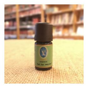 Baharat Karanfil Meyvesi Yağı Organik 5 Ml
