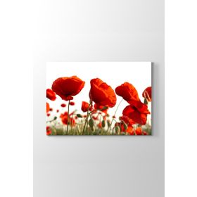 Bahçede Gelincikler Tablosu