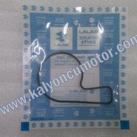 Bajaj Dominar 400 Su Pompa Kapak Oringi