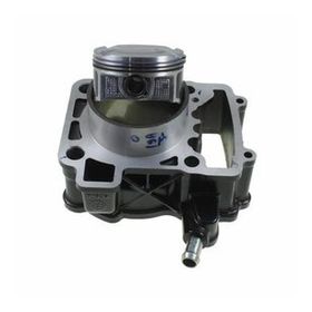 Bajaj Pulsar NS200 Orijinal Silindir Set